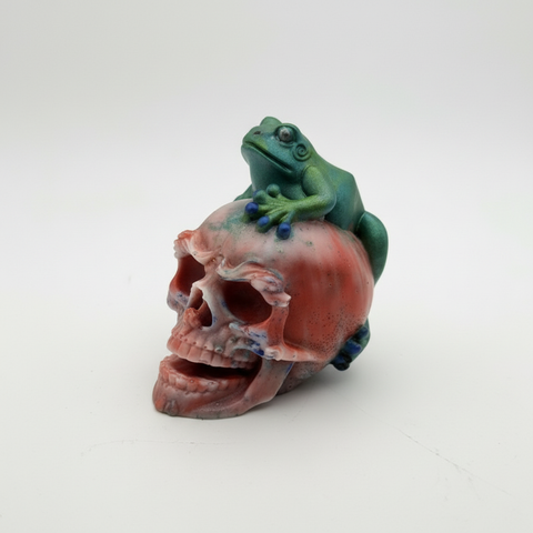 Coral Marble Skull with Frog — Handmade Resin Art