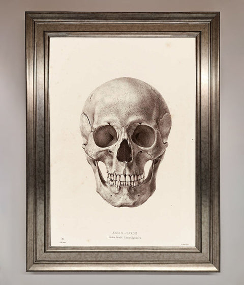 Skull Science Framed Poster