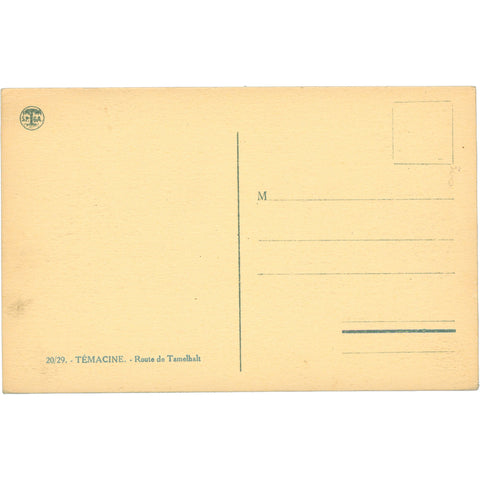 Témacine, Algeria - Route de Tamelhalt Postcard Early 20th Century