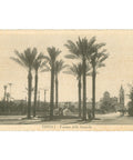 Tripoli, Libya - Fontana della Gazzella Postcard