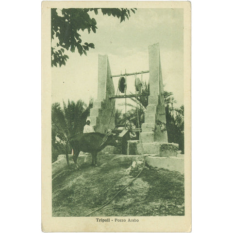 Tripoli, Libya Postcard – Pozzo Arabo (Arab Well), Early 20th Century