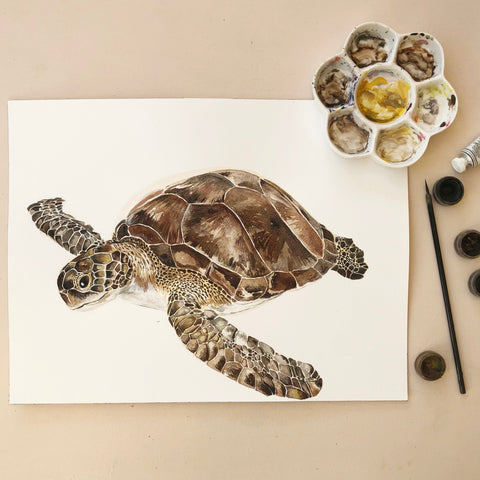 Sea turtle greetings card