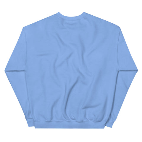 Carolina Blue GOD Find Him unisex crewneck sweatshirt, plain back view