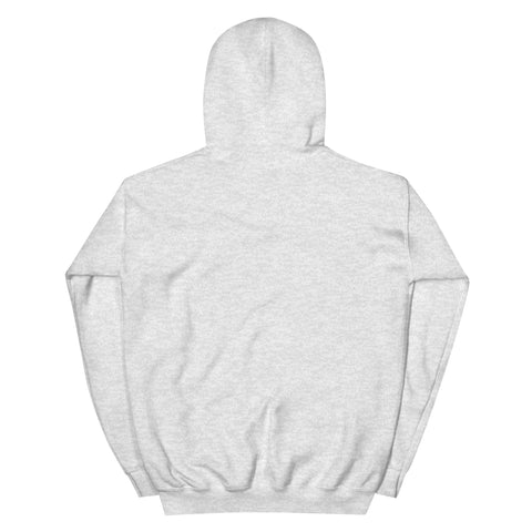 Ash unisex fleece hoodie, flat back view with no print.
