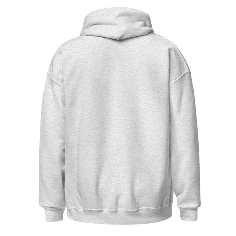 Ash unisex fleece hoodie, plain back view.