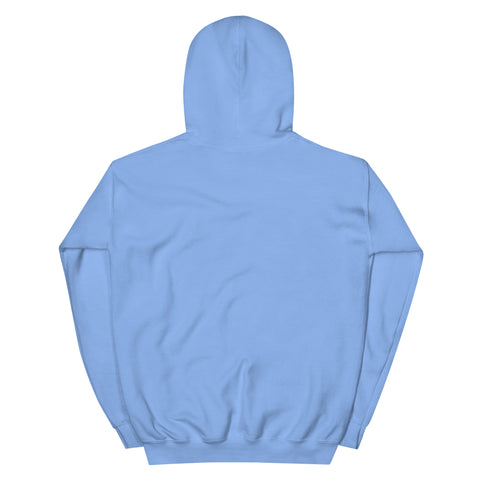 Carolina Blue unisex fleece hoodie, flat back view with no print.