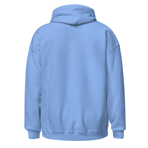 Carolina Blue unisex fleece hoodie, plain back view.