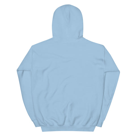 Light Blue unisex fleece hoodie, flat back view with no print.