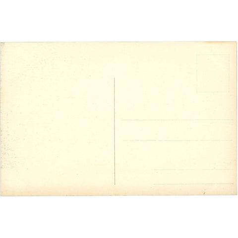 Venezia, Italy - Panorama from Santa Maria della Salute Postcard