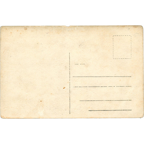 World War I French 32nd Infantry Division Group Photo Postcard