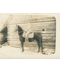 World War I German Soldier on Horseback Photo Postcard