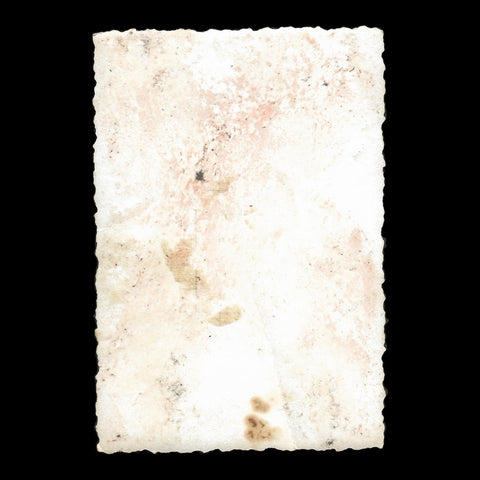 World War II Military Germany Soldier Photo WW1 Truck Photography