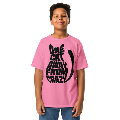 Youth model wearing a Azalea One Cat Away youth classic tee, showing the black cat-shaped One Cat Away From Crazy print on the front.