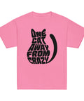 Product view of a Azalea One Cat Away youth classic tee, showing the black cat-shaped One Cat Away From Crazy print on the front.