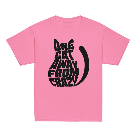 Product view of a Azalea One Cat Away youth classic tee, showing the black cat-shaped One Cat Away From Crazy print on the front.