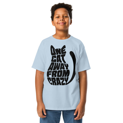 Youth model wearing a Light Blue One Cat Away youth classic tee, showing the black cat-shaped One Cat Away From Crazy print on the front.