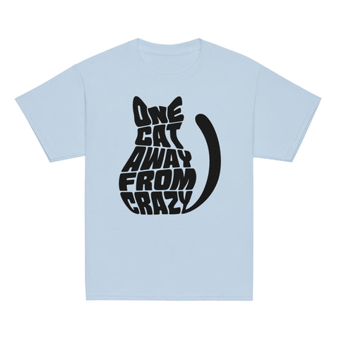 Product view of a Light Blue One Cat Away youth classic tee, showing the black cat-shaped One Cat Away From Crazy print on the front.