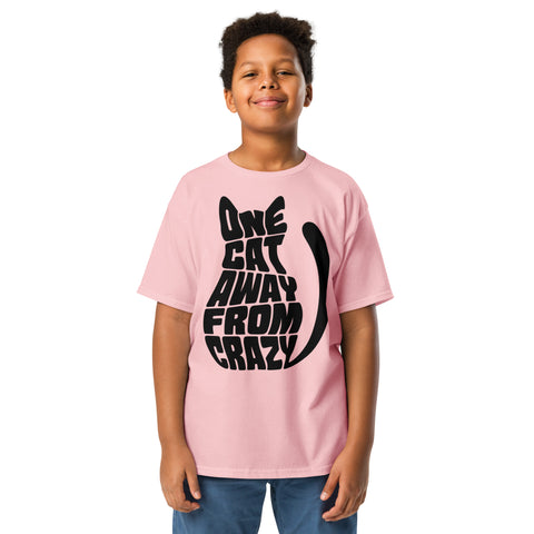 Youth model wearing a Light Pink One Cat Away youth classic tee, showing the black cat-shaped One Cat Away From Crazy print on the front.