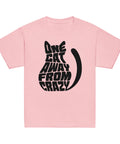 Product view of a Light Pink One Cat Away youth classic tee, showing the black cat-shaped One Cat Away From Crazy print on the front.