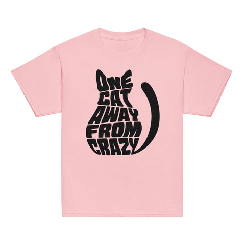 Product view of a Light Pink One Cat Away youth classic tee, showing the black cat-shaped One Cat Away From Crazy print on the front.
