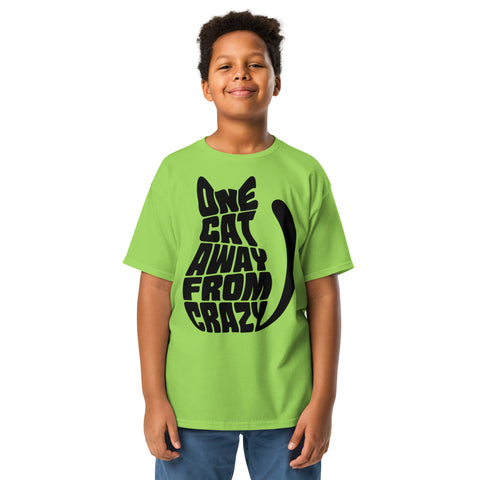 Youth model wearing a Lime One Cat Away youth classic tee, showing the black cat-shaped One Cat Away From Crazy print on the front.