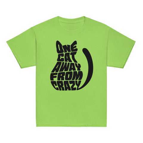 Product view of a Lime One Cat Away youth classic tee, showing the black cat-shaped One Cat Away From Crazy print on the front.