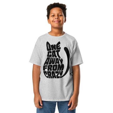 Youth model wearing a Sport Grey One Cat Away youth classic tee, showing the black cat-shaped One Cat Away From Crazy print on the front.
