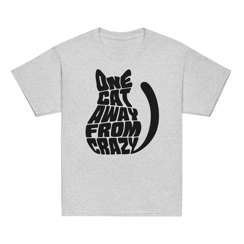 Product view of a Sport Grey One Cat Away youth classic tee, showing the black cat-shaped One Cat Away From Crazy print on the front.