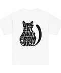 Product view of a White One Cat Away youth classic tee, showing the black cat-shaped One Cat Away From Crazy print on the front.
