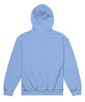 Carolina Blue youth hoodie with a plain unprinted back.