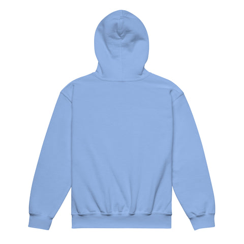 Carolina Blue youth hoodie with a plain unprinted back.