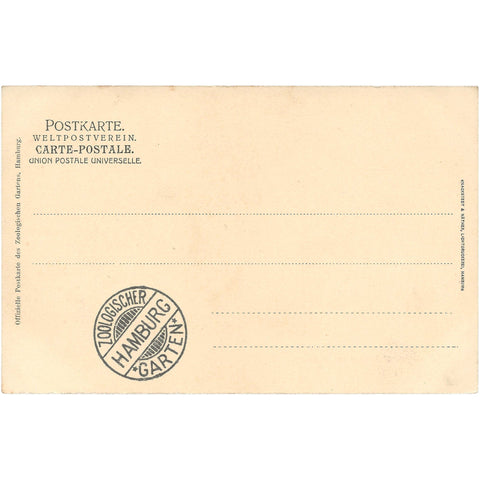 Zoological Garden in Hamburg - Raubvogelhaus Germany Postcard Vintage