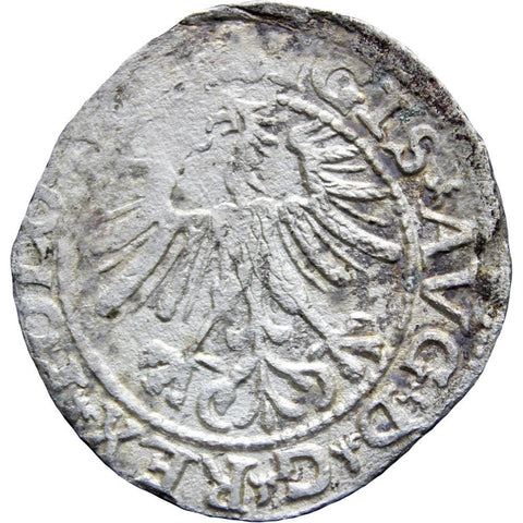 1565 Half Groschen / Groat Lithuania Sigismund II Augustus Coin Silver