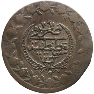 Descriptive image text