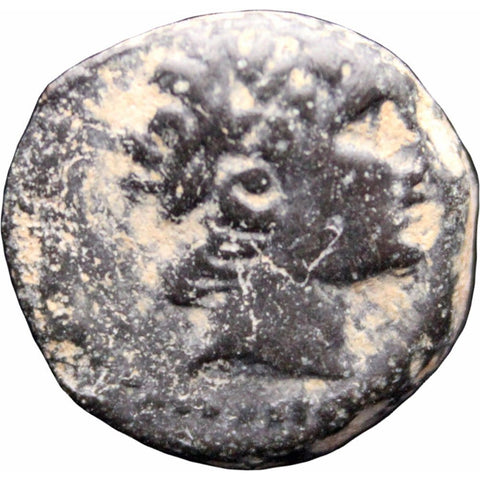 Coin 223 - 187 BC Ancient Greek Seleucid Kingdom Antiochus III the Great, AE Coin