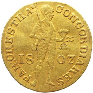 Descriptive image text